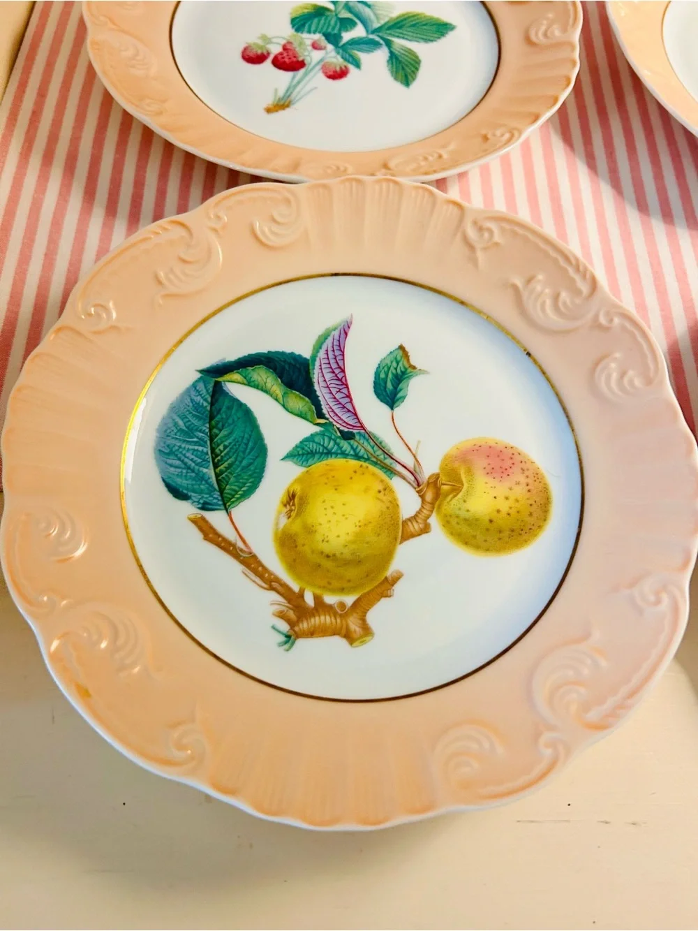 Vintage Set of 6 Mottahedeh 